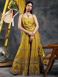 Olive mirror work sharara