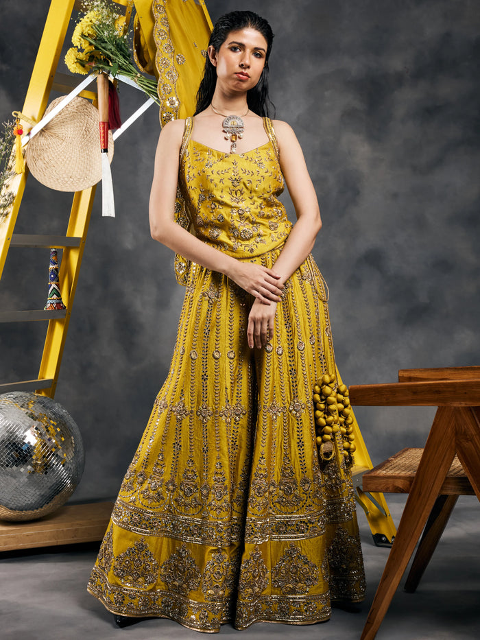 Olive mirror work sharara