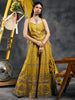 Olive mirror work sharara