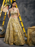 Aabha Cape lehenga