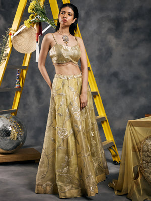 Aabha Cape lehenga