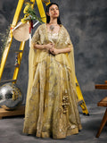 Aabha Cape lehenga