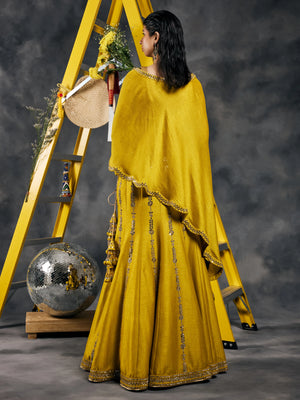 Olive fish-cut mirror work lehenga