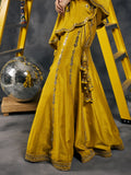 Olive fish-cut mirror work lehenga
