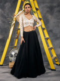 Ivory Zari Chanderi Swarovski Work Blouse