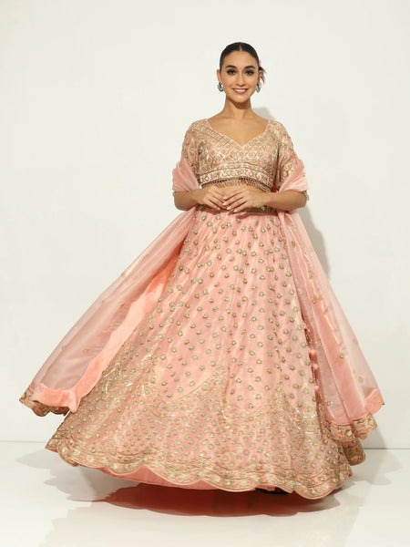 Blush Pink Rangrass Zardozi Lehenga