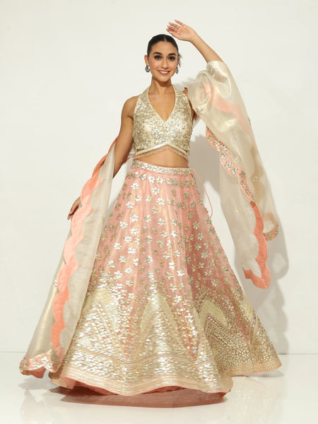 Blush Pink Aabha Lehenga