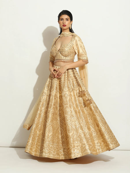 Light Gold Sequin Lehenga