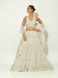 PalePearl Zircon Lehenga