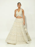 PalePearl Zircon Lehenga