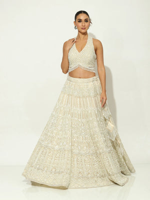 PalePearl Zircon Lehenga