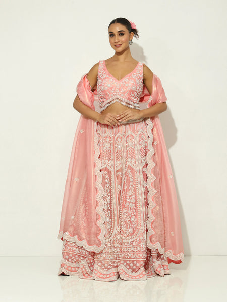 Blush Pink PalePearl Lehenga