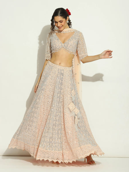 Pale Pink  Net Chikankari Swaroskvi Lehenga