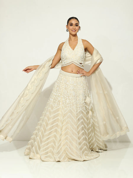 PalePearl Embellished Lehenga