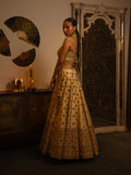 Metal and mirror work lehenga
