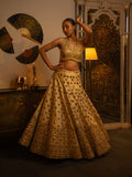 Metal and mirror work lehenga