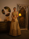 Metal and mirror work lehenga
