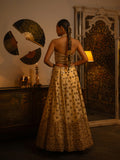 Metal and mirror work lehenga