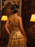 Raw silk mirror work lehenga