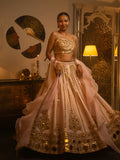 Powder pink mirror work lehenga