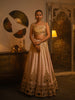 Powder pink mirror work lehenga