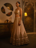 Powder pink mirror work lehenga