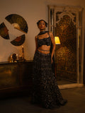 Black net lehenga.