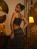 Black net lehenga.
