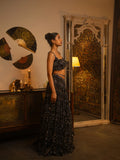Black net lehenga.