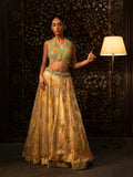 Multi beadwork lehenga