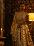 Metal and mirror work lehenga